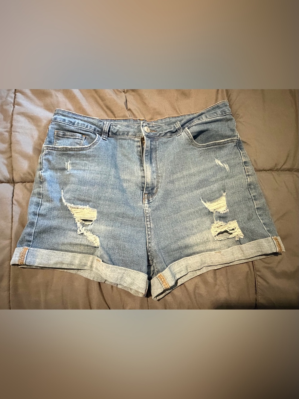 High-Rise Distressed Denim Shorts - Light Blue 1X